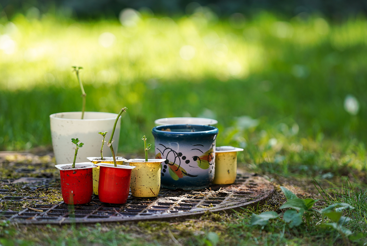 Revolutionizing Gaming: The Latest Gaming Consoles and Accessories Revolutionizing Gaming: The Latest Gaming Consoles and Accessories