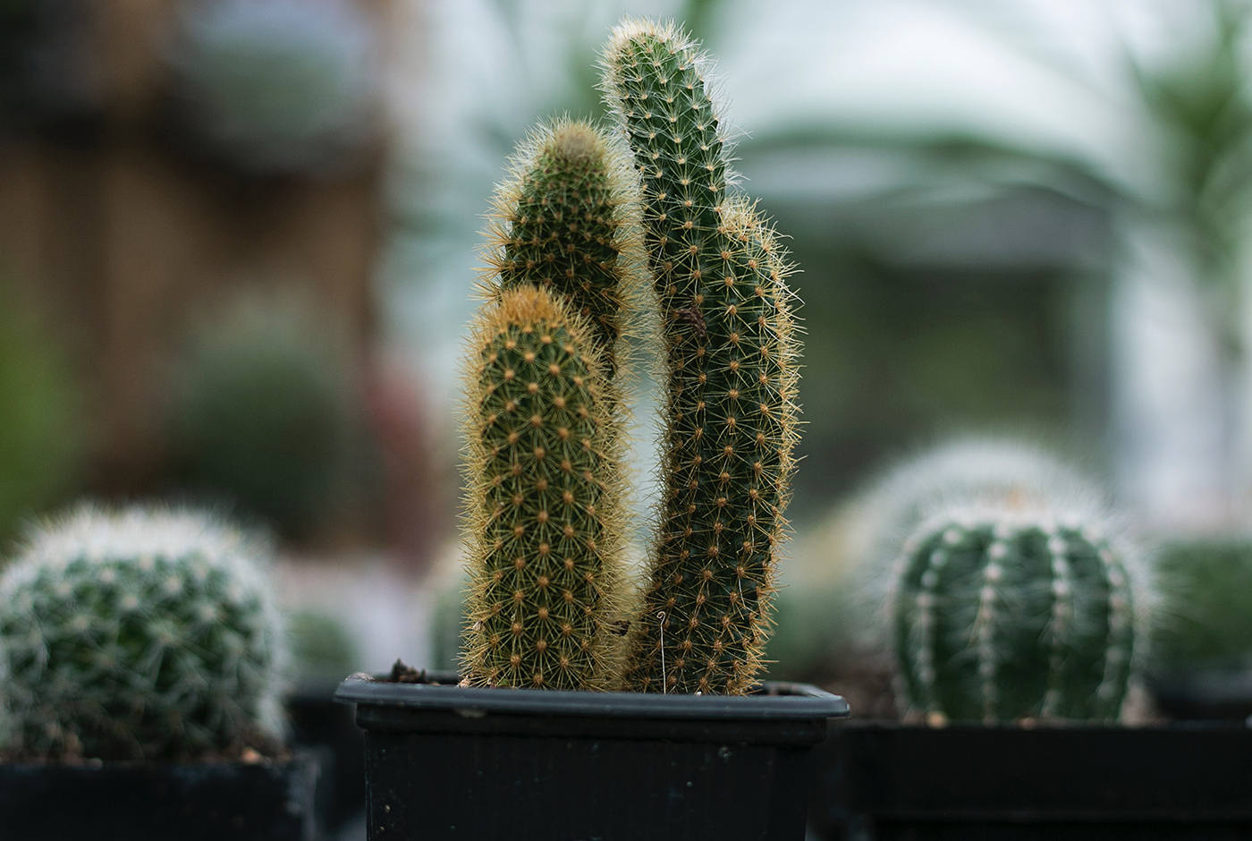 Enhancing Your Audio Experience: The Best Headphones and Speakers Enhancing Your Audio Experience: The Best Headphones and Speakers